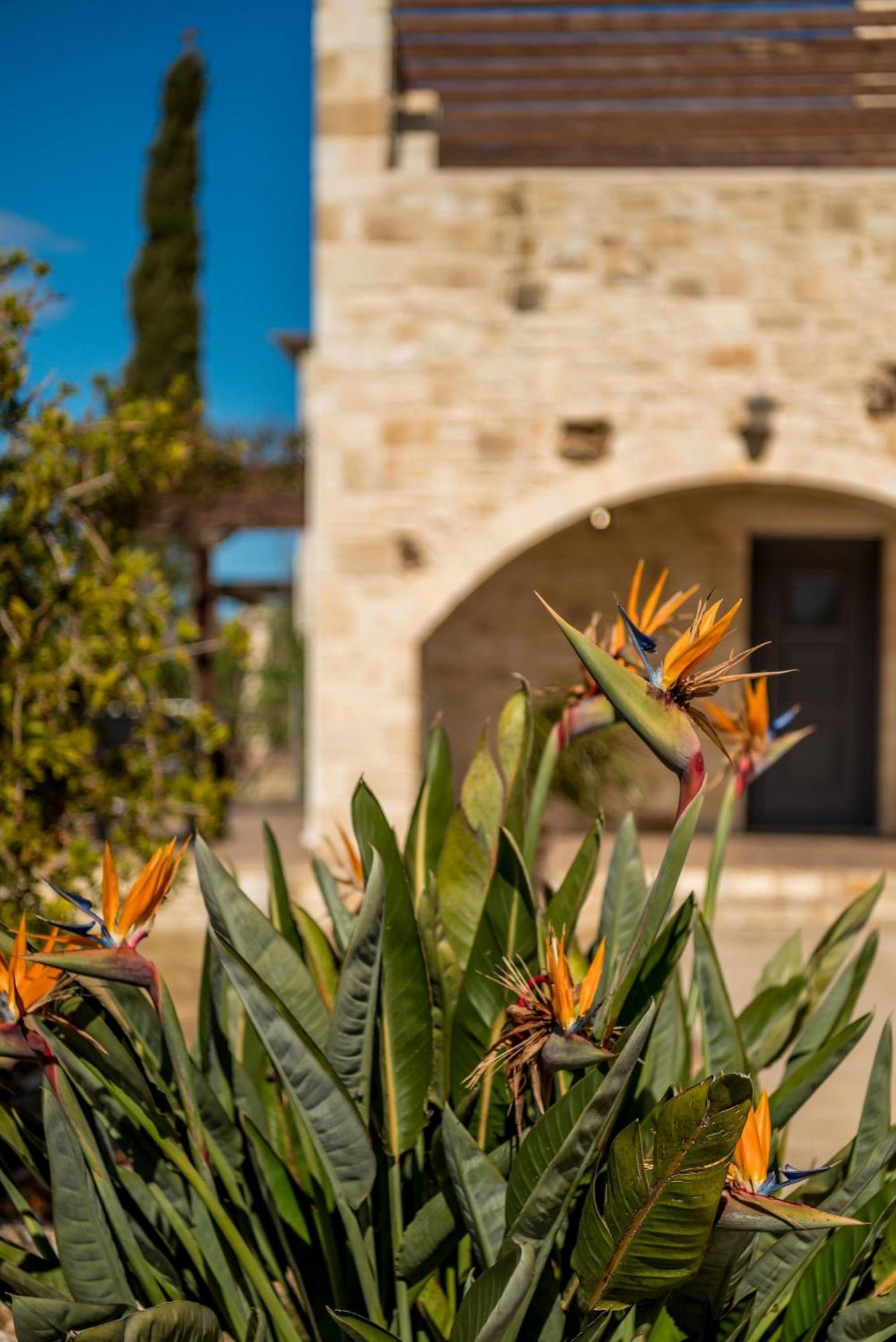 Villa Gloria Seaview - Luxury & Family Kokkino Chorio Zewnętrze zdjęcie